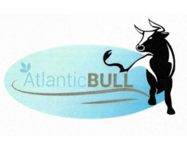 ATLANTICBULL pour la fabrication et la commercialisation des palettes en bois