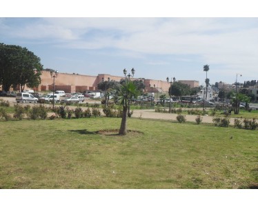 Terrain à vendre de 26866 m² en plein centre ville Meknès